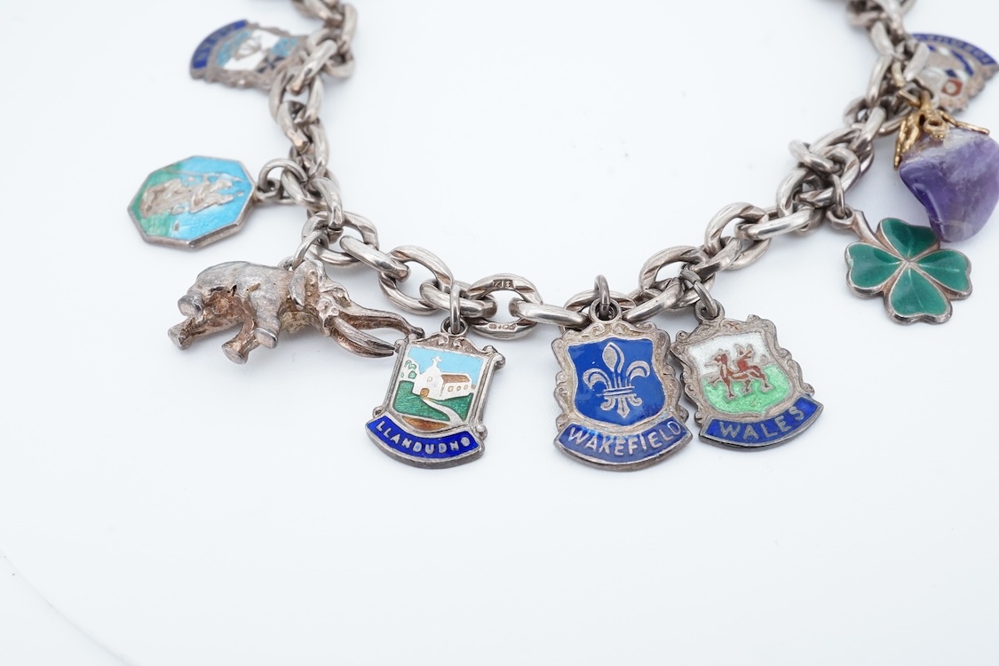 A small group of sterling, white metal and and other jewellery, including a charm bracelet, frog brooch, etc.
